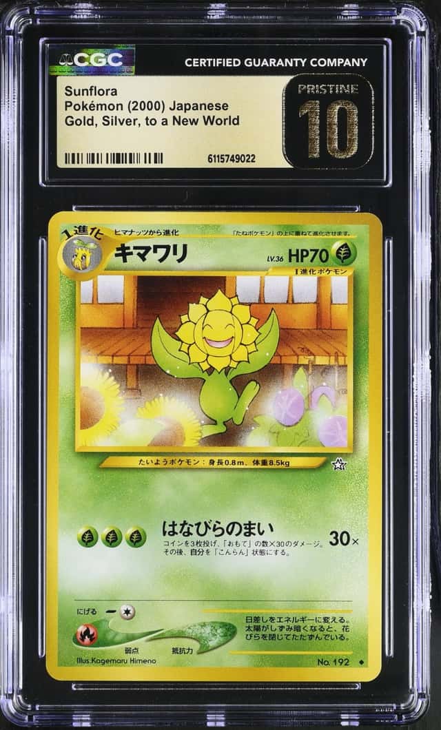 Sunflora