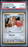 Spearow