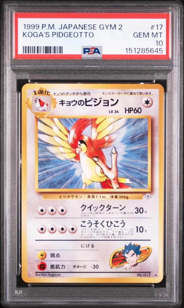 Koga's Pidgeotto