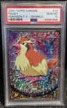 Pidgey