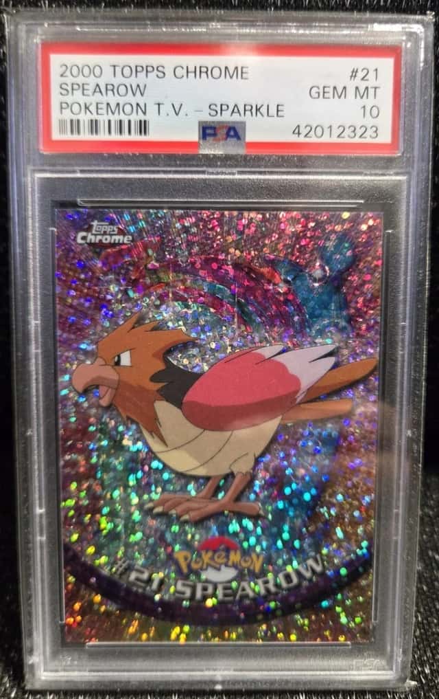 Spearow