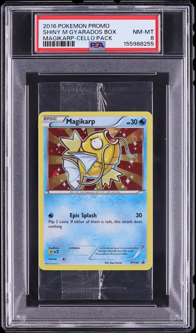 Pokemon Xy booster pack [graded]