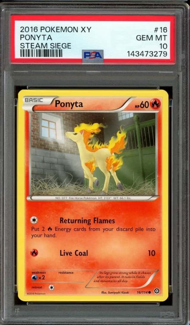 Ponyta