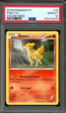 Ponyta