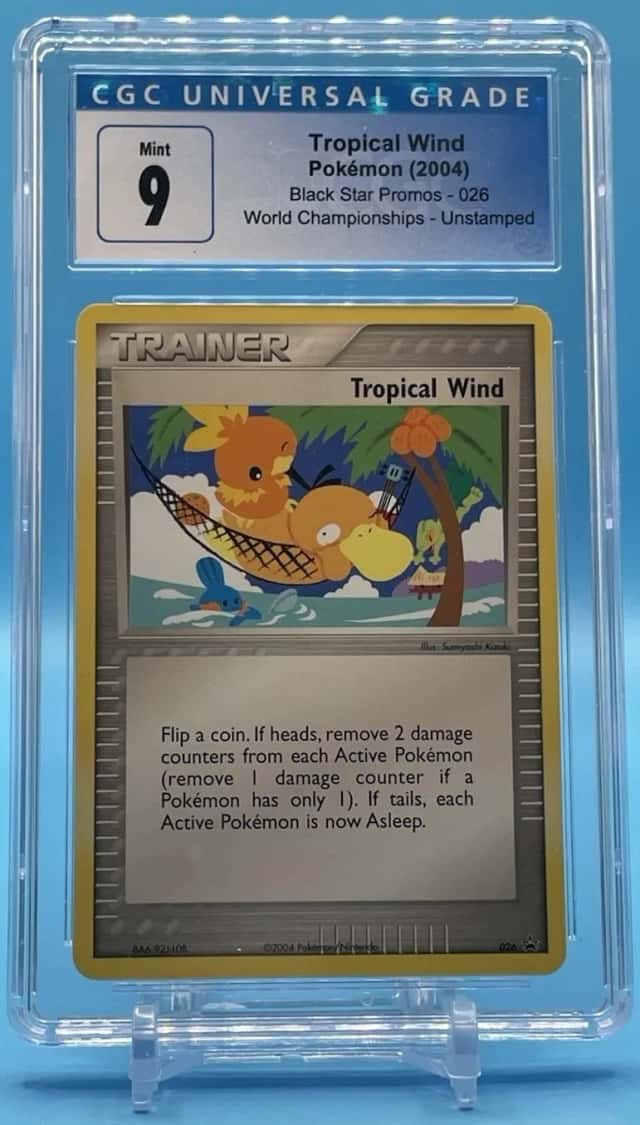 Tropical Wind