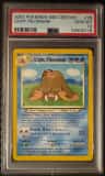 Light Piloswine