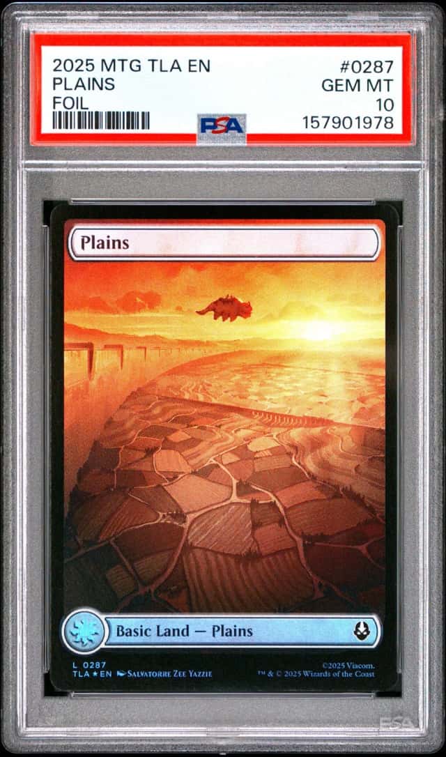 Plains