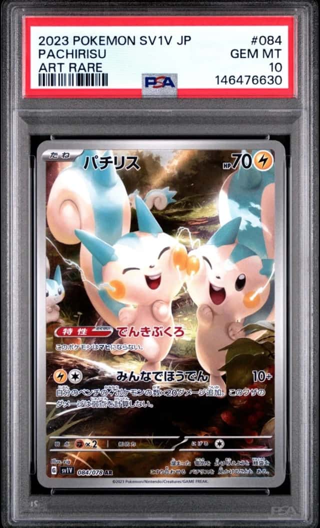 Pachirisu
