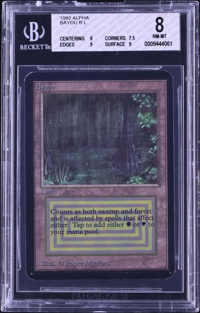 Bayou