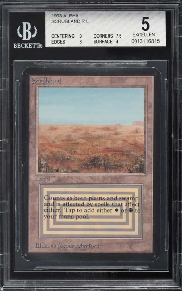 Scrubland R :L: