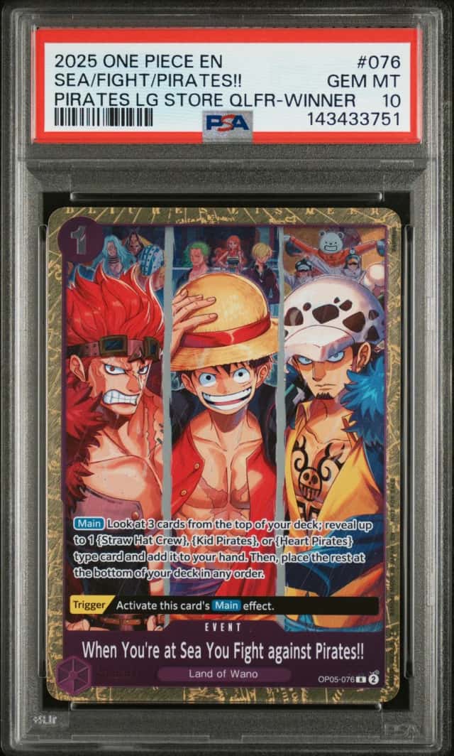 Sea/Fight/Pirates!!