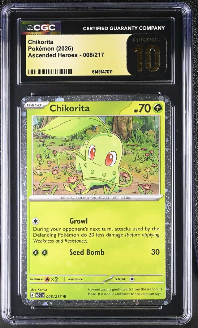 Chikorita