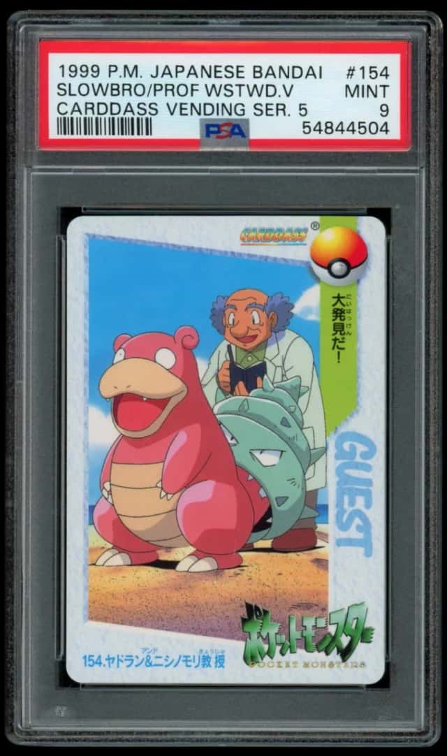 SLOWBRO/PROF.WSTWD.V