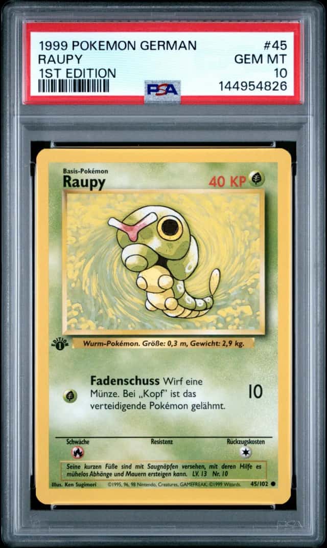 Raupy