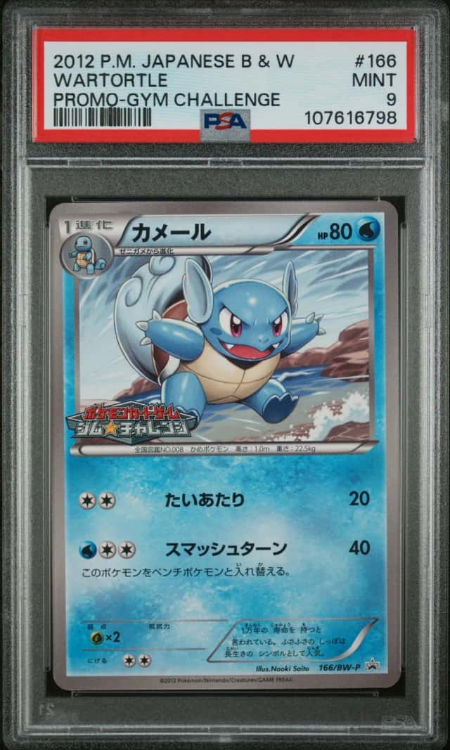 Wartortle