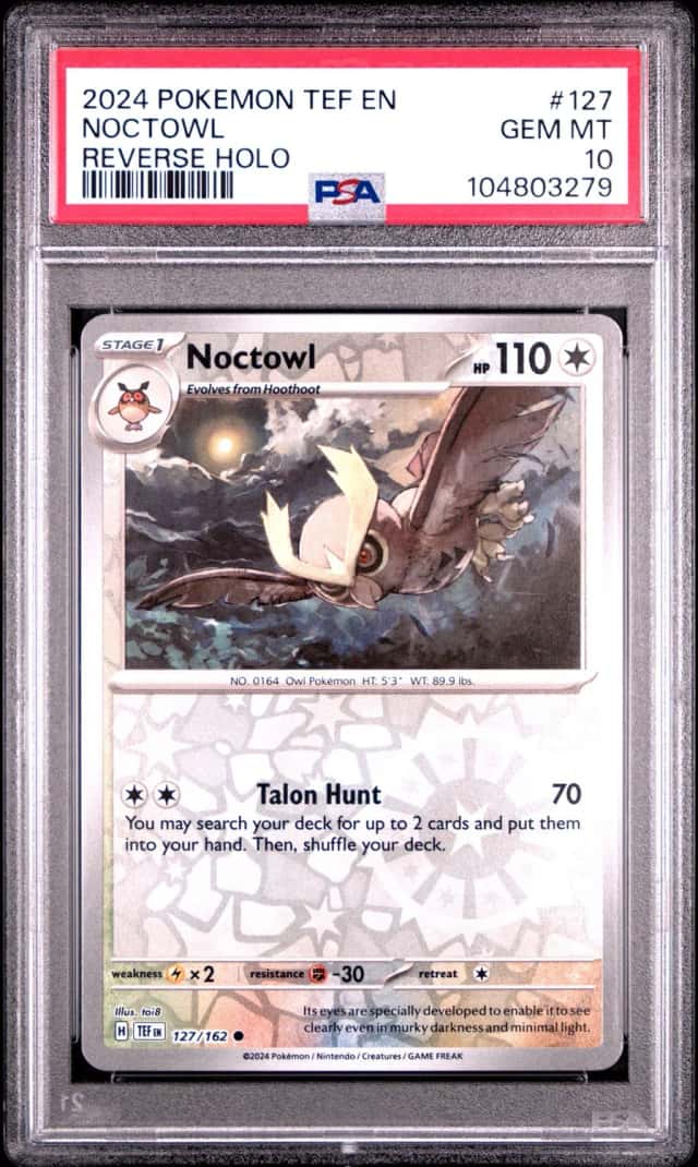 Noctowl