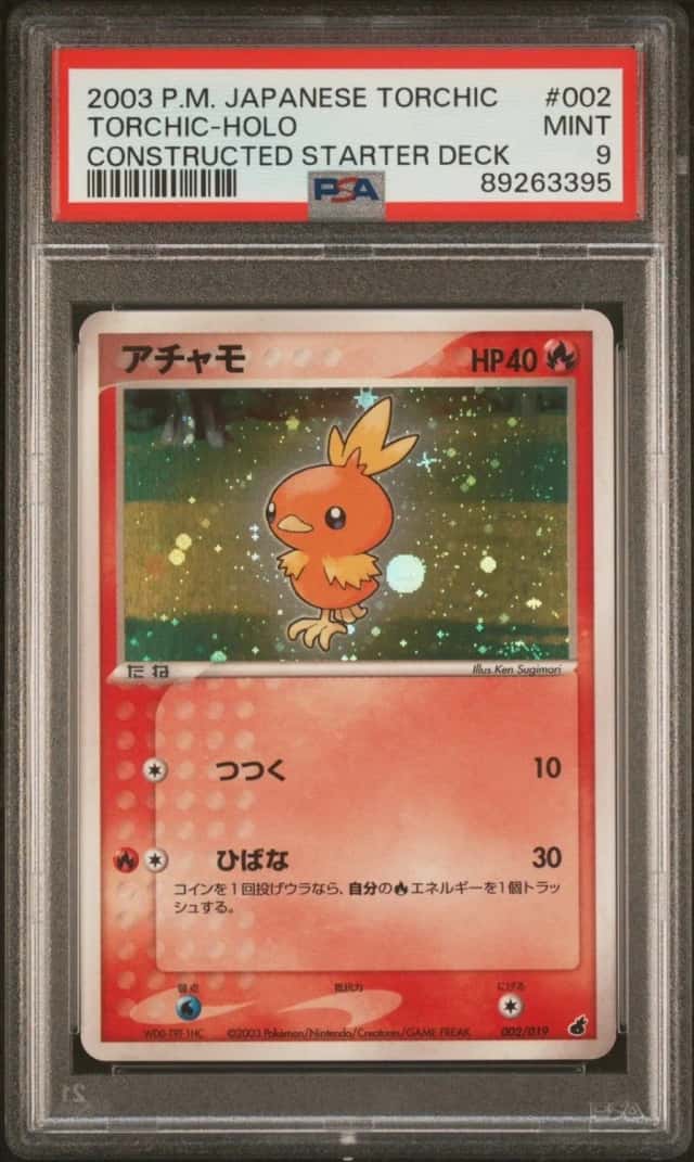 Torchic