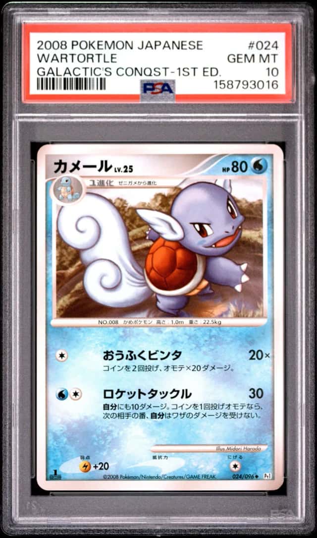 Wartortle