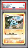 Riolu