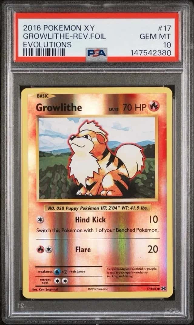 Growlithe