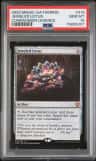 Jeweled Lotus