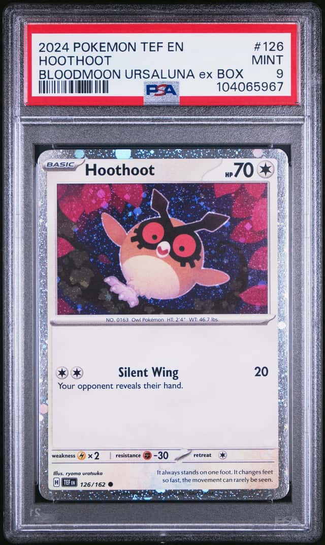 Hoothoot