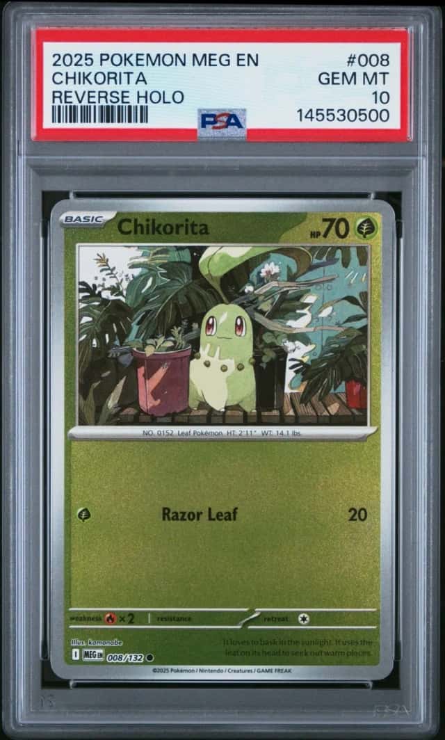 Chikorita