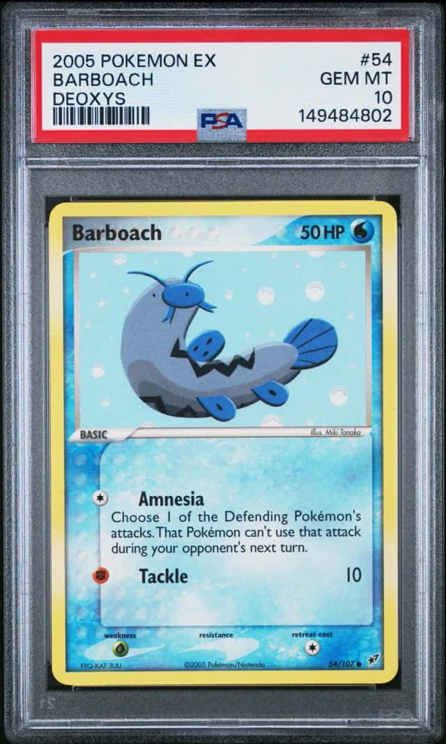 Barboach
