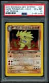 Dark Tyranitar