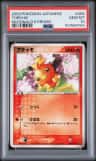 Torchic