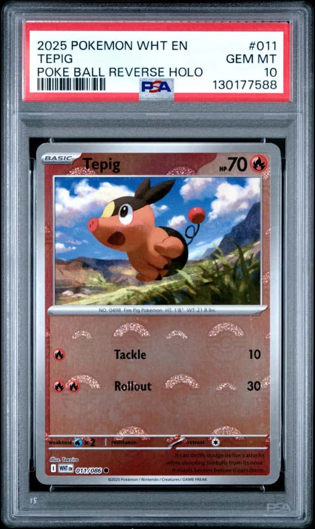 Tepig