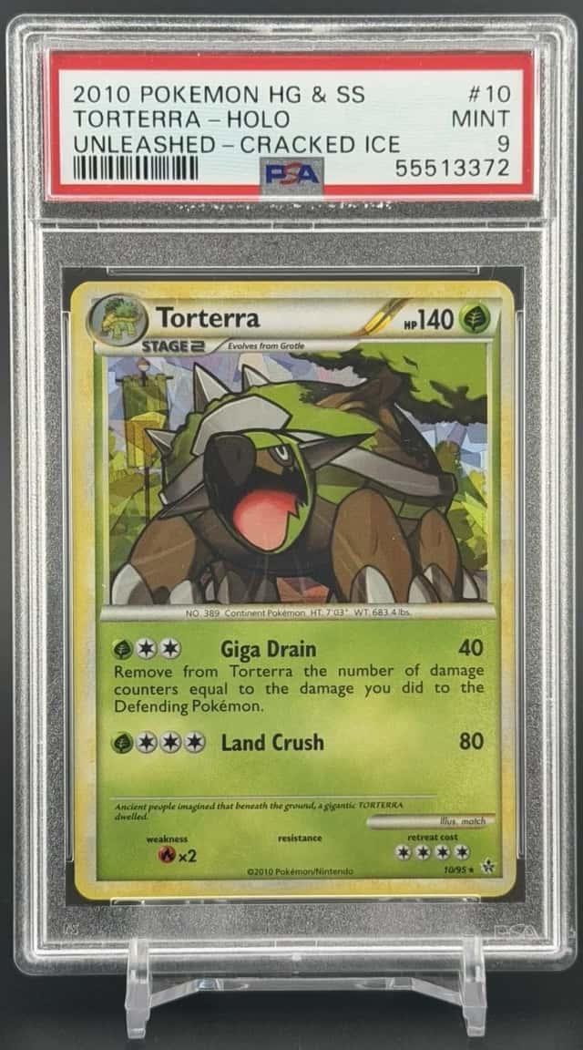 Torterra