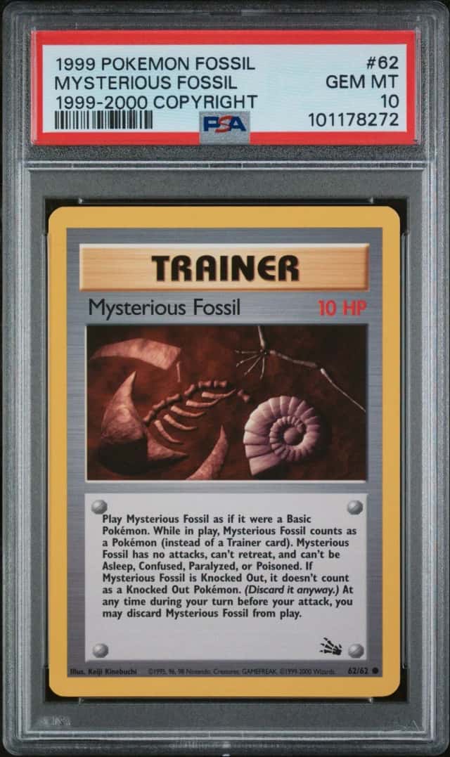 Mysterious Fossil