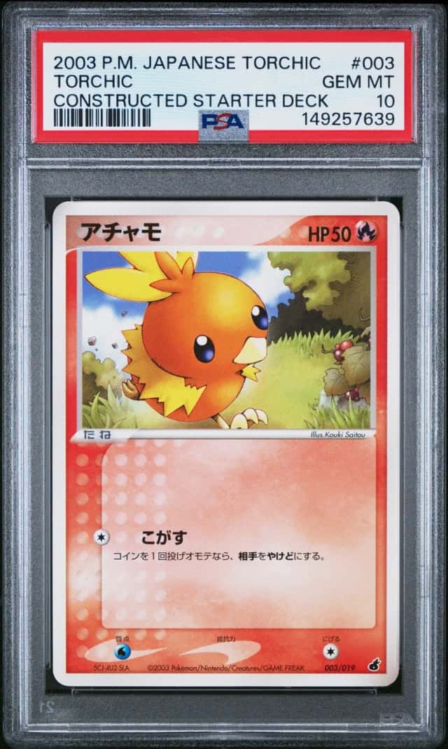Torchic