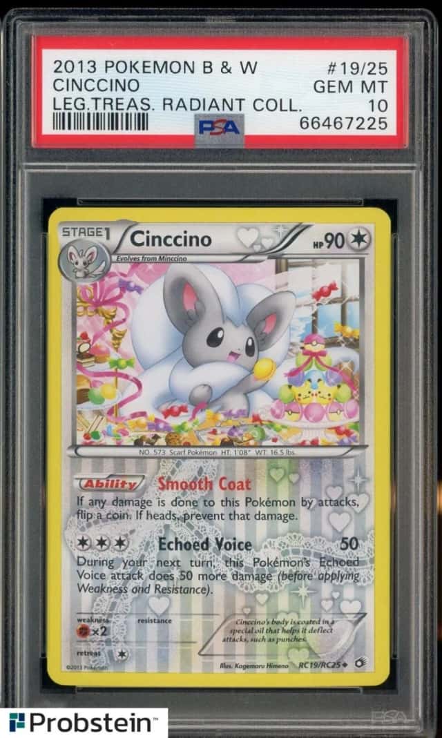 Cinccino