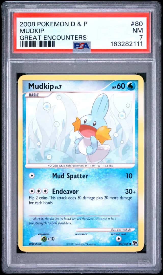 Mudkip