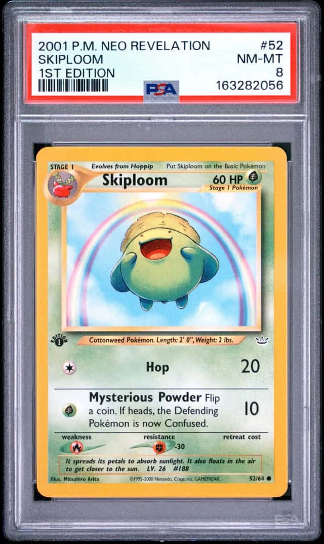 Skiploom