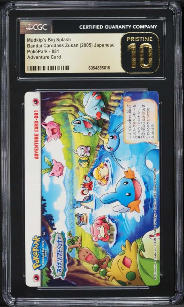 Mudkip's Big Splash