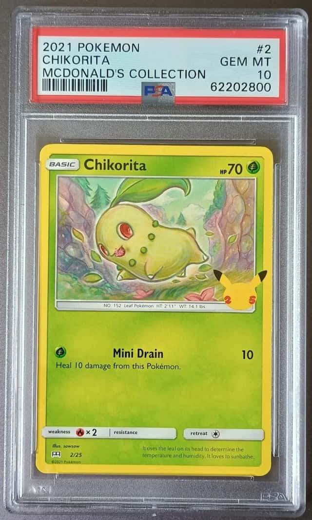 Chikorita