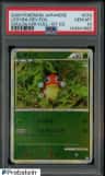 Ledyba