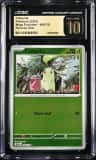 Chikorita