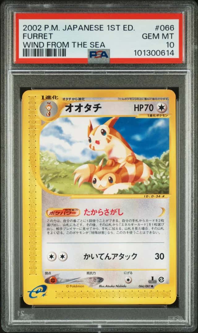 Furret