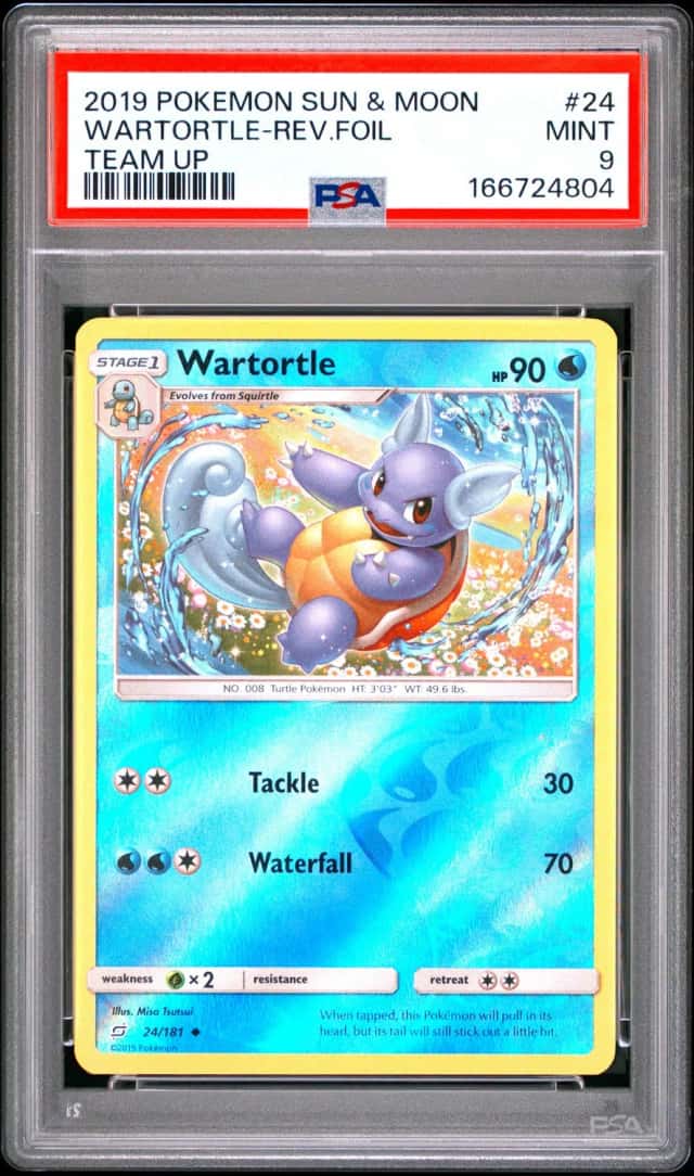 Wartortle
