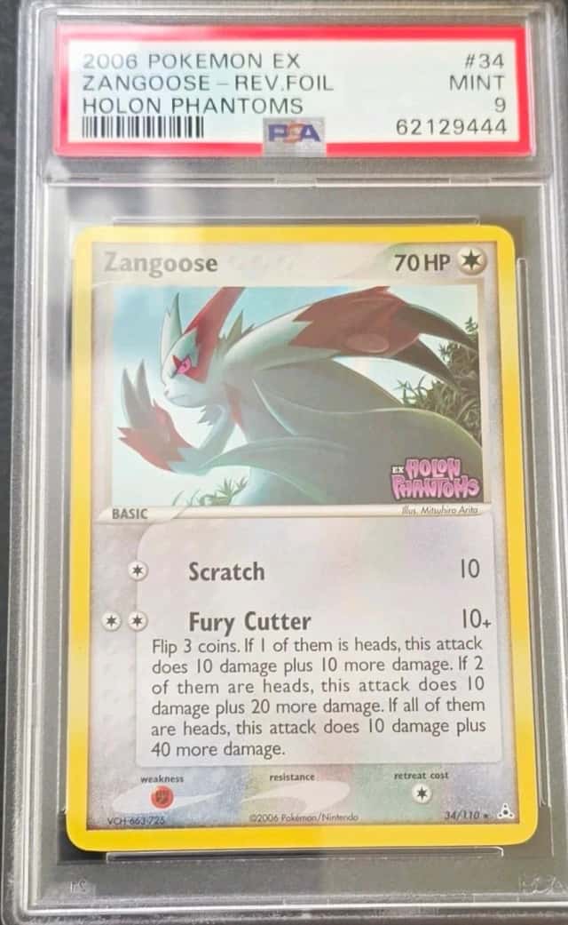 Zangoose