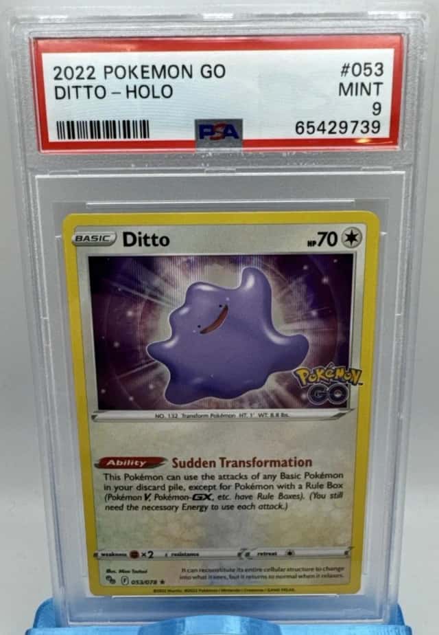 Ditto