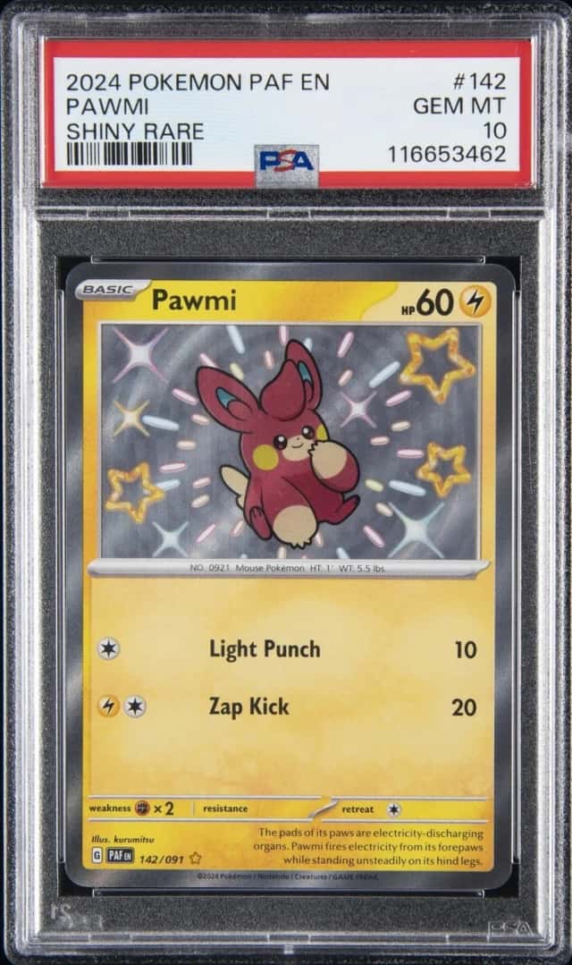 Pawmi