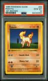 Ponyta