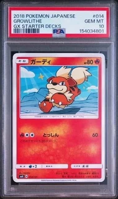 Growlithe
