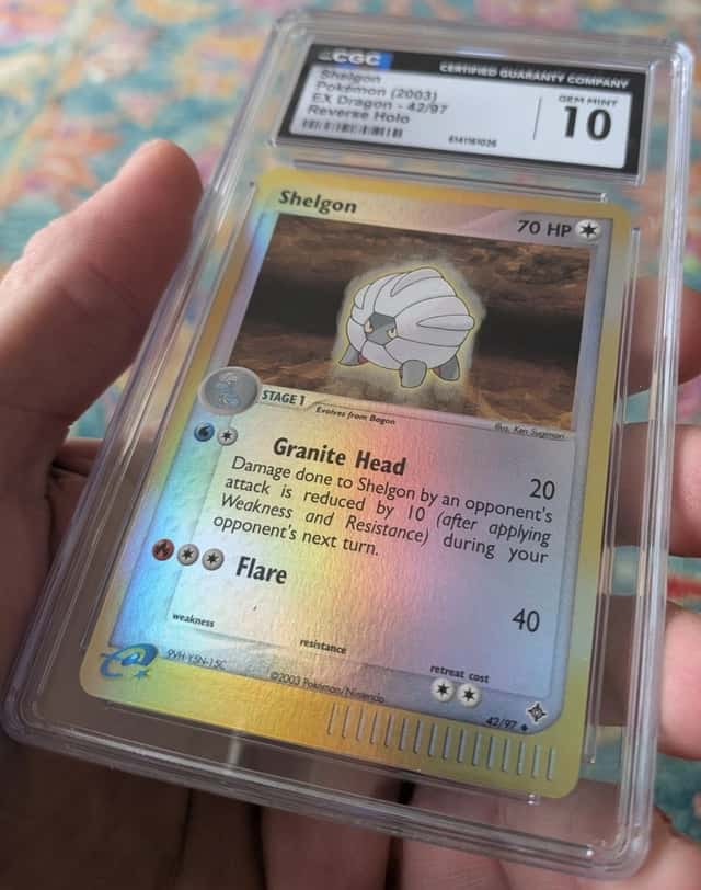 Shelon Dragon