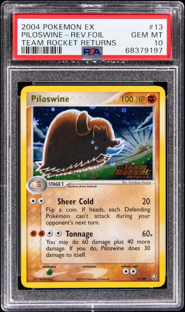Piloswine